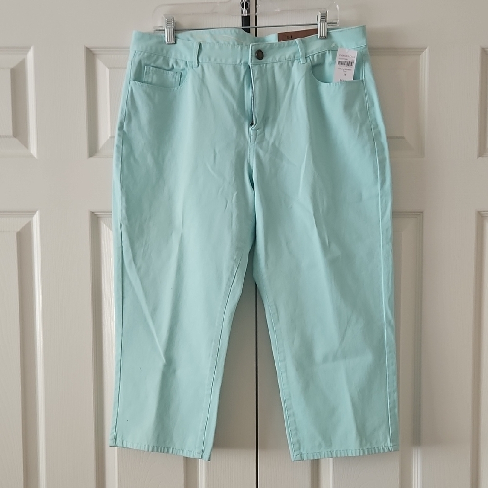 Coldwater Creek Light Blue Cropped Pants
